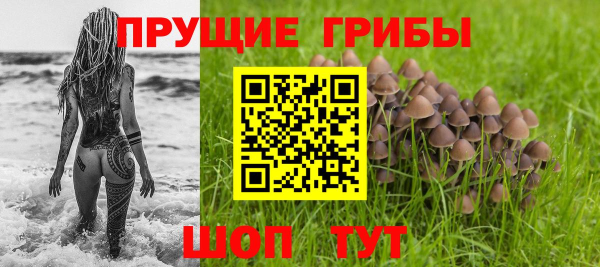 Галлюциногенные грибы GOLDEN TEACHER Новоалтайск
