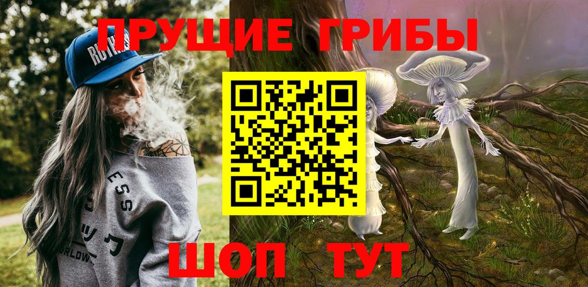 Галлюциногенные грибы мицелий  Вход с VPN  Новоалтайск  сколько стоит  Псилоцибиновые грибы Cubensis 